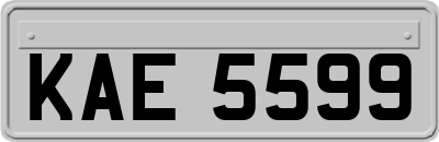 KAE5599