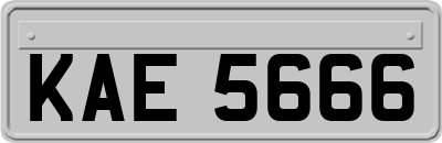 KAE5666