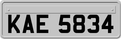 KAE5834