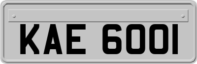KAE6001