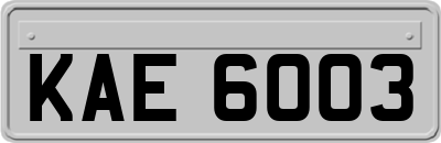 KAE6003