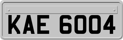 KAE6004
