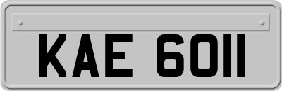 KAE6011