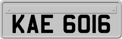 KAE6016