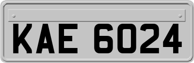 KAE6024