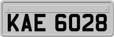KAE6028