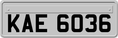 KAE6036