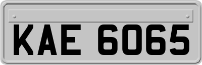 KAE6065