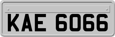KAE6066