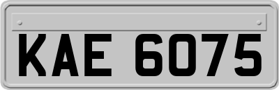 KAE6075