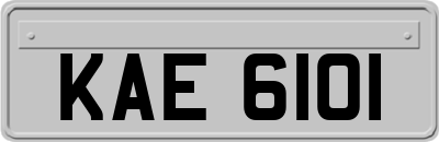 KAE6101