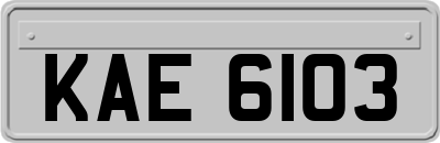 KAE6103