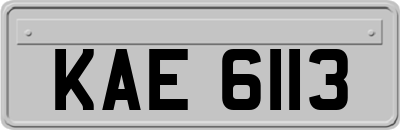 KAE6113
