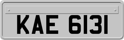 KAE6131