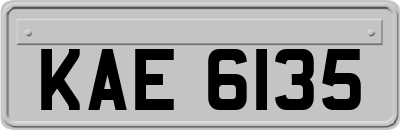 KAE6135