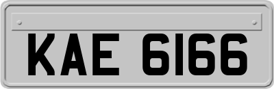 KAE6166