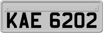KAE6202