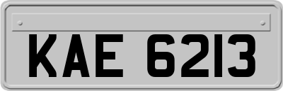 KAE6213