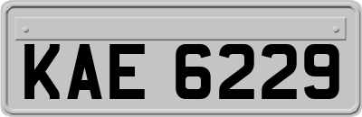 KAE6229