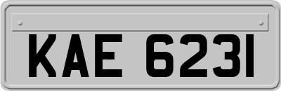 KAE6231