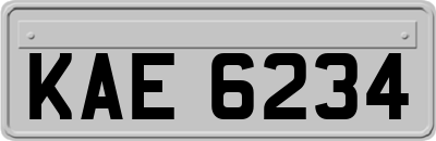 KAE6234