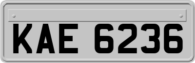 KAE6236