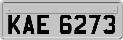 KAE6273