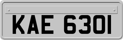 KAE6301