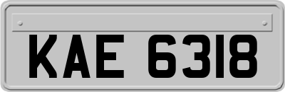 KAE6318
