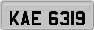 KAE6319