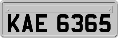 KAE6365