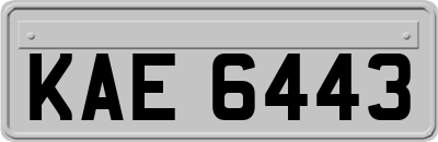 KAE6443
