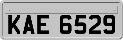 KAE6529