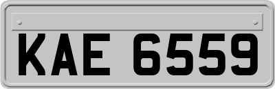 KAE6559