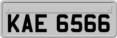 KAE6566