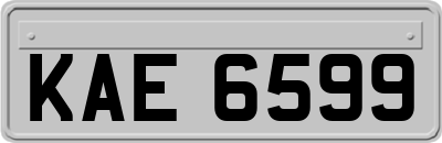 KAE6599