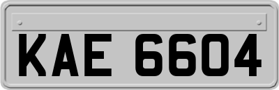 KAE6604