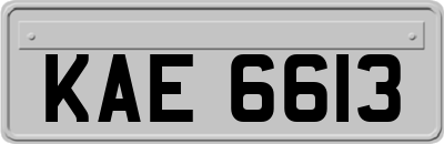 KAE6613