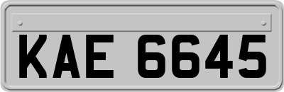 KAE6645
