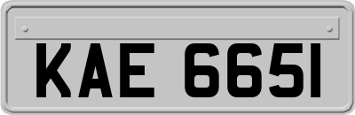 KAE6651