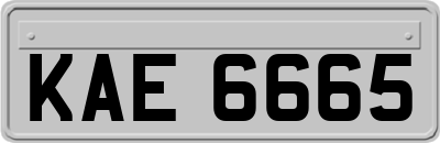 KAE6665