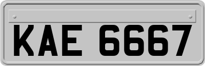 KAE6667