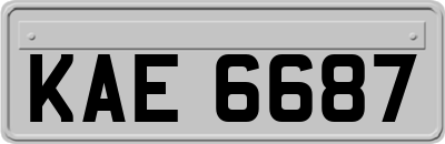 KAE6687