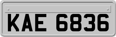 KAE6836