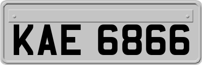 KAE6866
