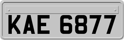 KAE6877
