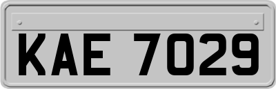 KAE7029