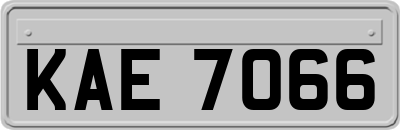 KAE7066