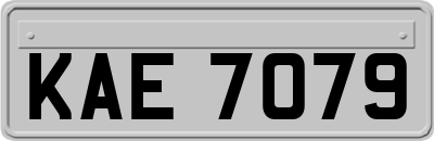 KAE7079