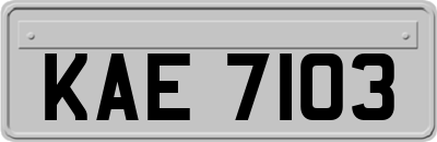 KAE7103